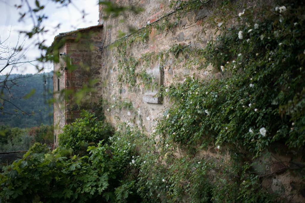 La Canonica Di Nusenna Gaiole in Chianti Exteriör bild